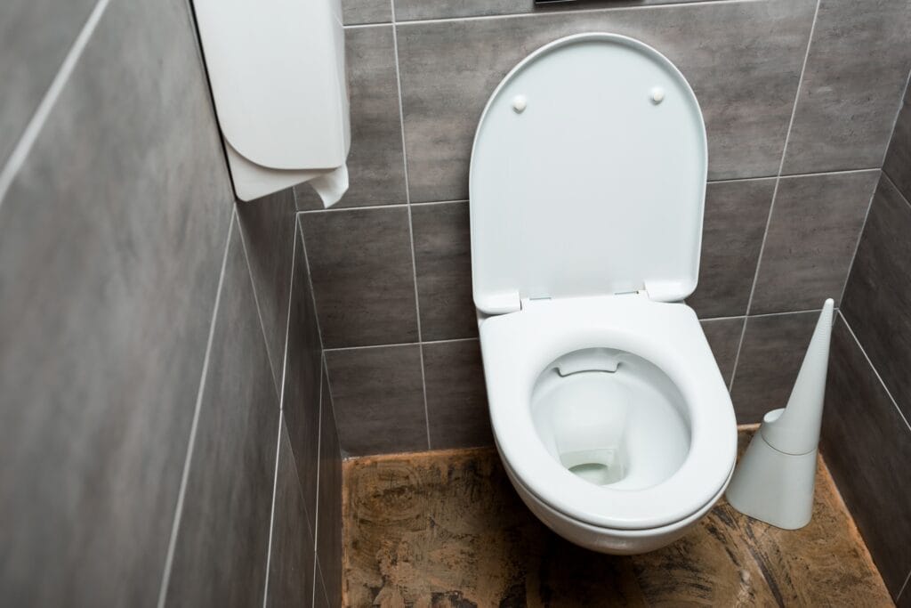 Ceramic toilet bowl in modern restroom with grey tiles and toilet brush, illustrating plumbing solutions for clogs and leaks.