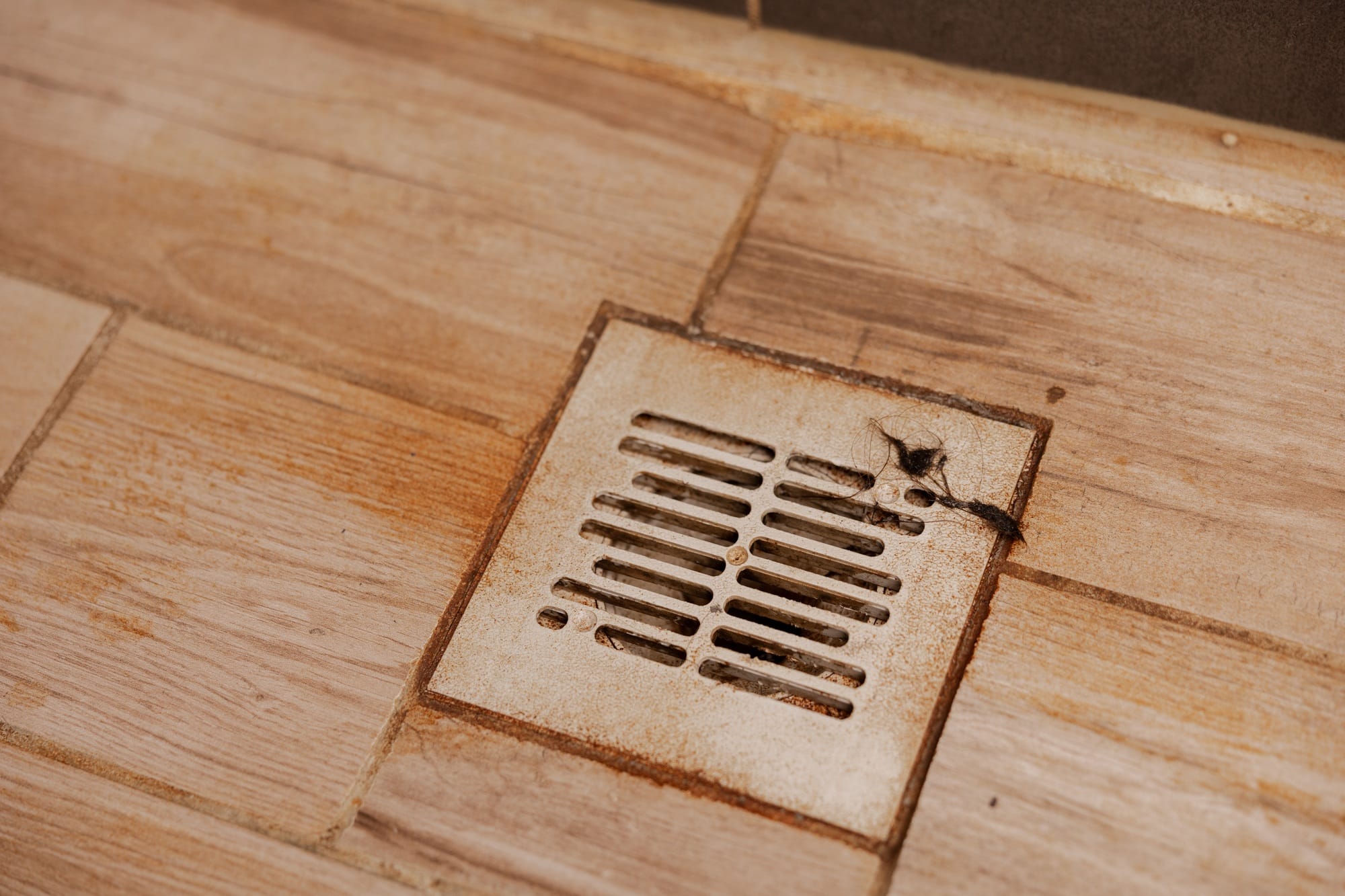 Clogged shower drain with rust stains and hair, highlighting common plumbing issues and the need for maintenance.
