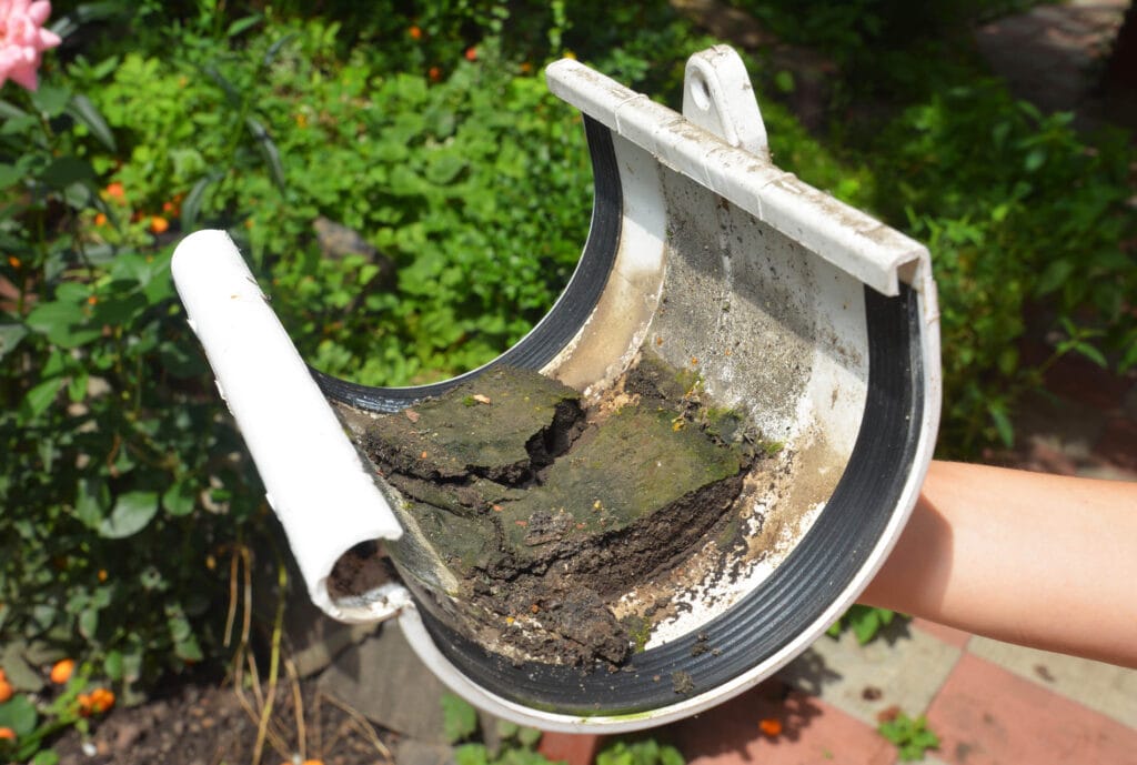 Clogged drain debris in a white gutter section, highlighting the importance of drain cleaning services for homeowners in Austell, GA.