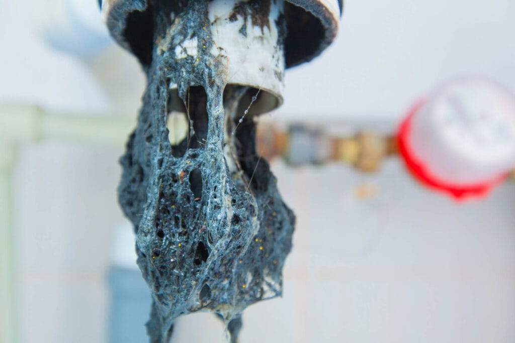 Clogged drain pipe with dark, tangled debris, illustrating plumbing issues related to toilet repair and maintenance services by JW Plumbing Pros in Northwest GA.